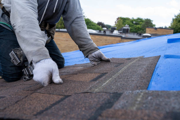 Quick and Trustworthy Emergency Roof Repair Services in Auburn, NE