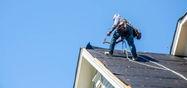 Roof Gutter Cleaning in Auburn, NE